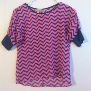 Pink and Blue Striped Blouse